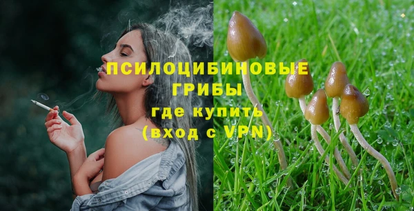 марки lsd Каменка