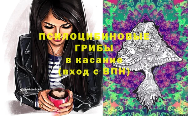 марки lsd Каменка