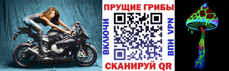 Купить закладки Новозыбков Псилоцибиновые грибы мицелий